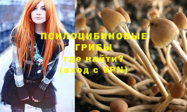 ALPHA-PVP Белокуриха