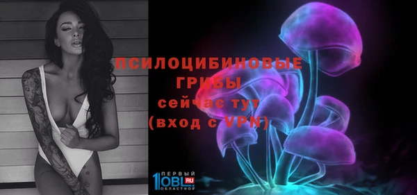 ALPHA-PVP Белокуриха
