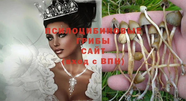 индика Белоозёрский