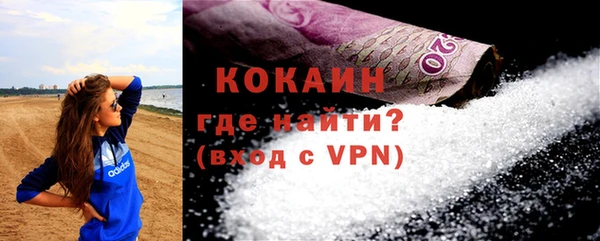 индика Белоозёрский