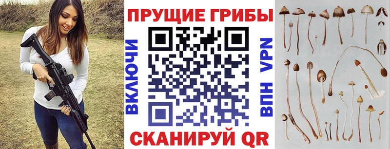 Псилоцибиновые грибы прущие грибы  купить   Маркс 